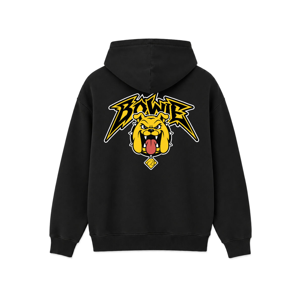 Bowie State Homecoming Hoodie (Customizable Print Options)