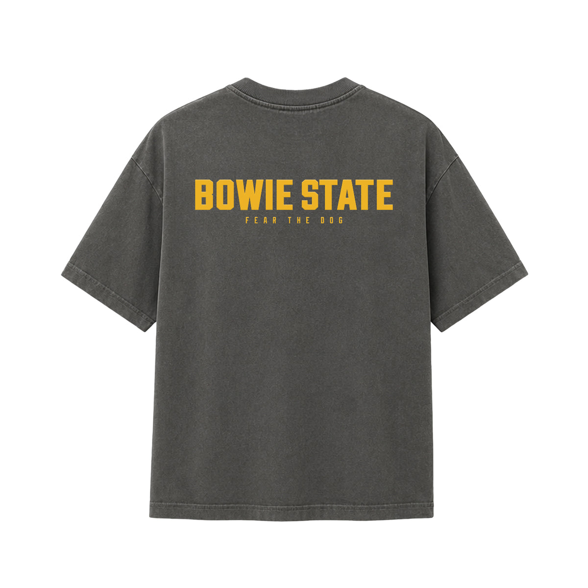 Bowie State Homecoming Tee (Customizable Shirt + Print Options)