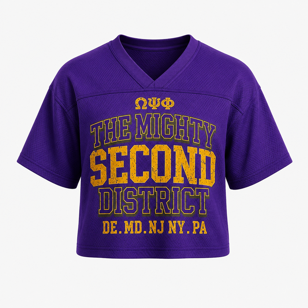 The Mighty Second District Cropped Football Jersey