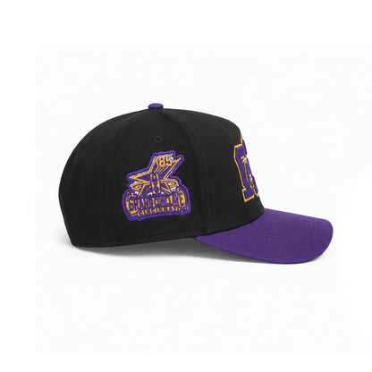 Triple Ω Snapback Hat (Black/Purple)